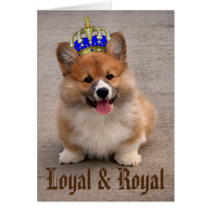 Loyal och Royal Corgi Puppy Photo OBS Kort