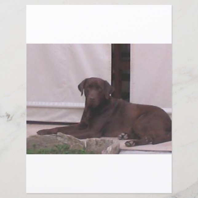 LR-chokladlabbäggning (Framsida)