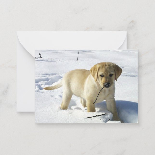 LR gul labrador valp i snö Anteckningskort (Framsida)