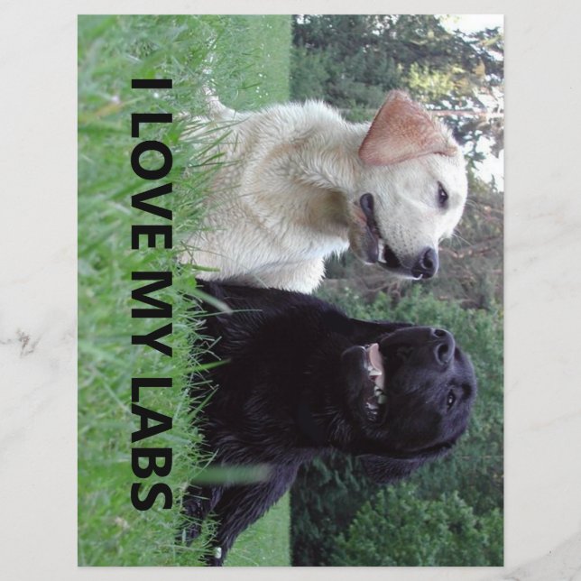 LR I Kärlek Mina labb med bild (Framsida)