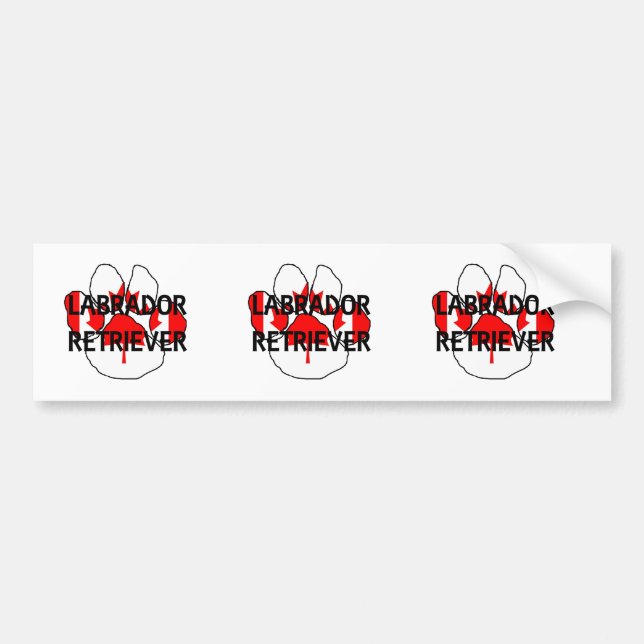 LR namn flg tass Bildekal (Framsidan)