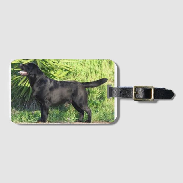 LR svart lab fullt Bagagebricka (Framsida horisontal)