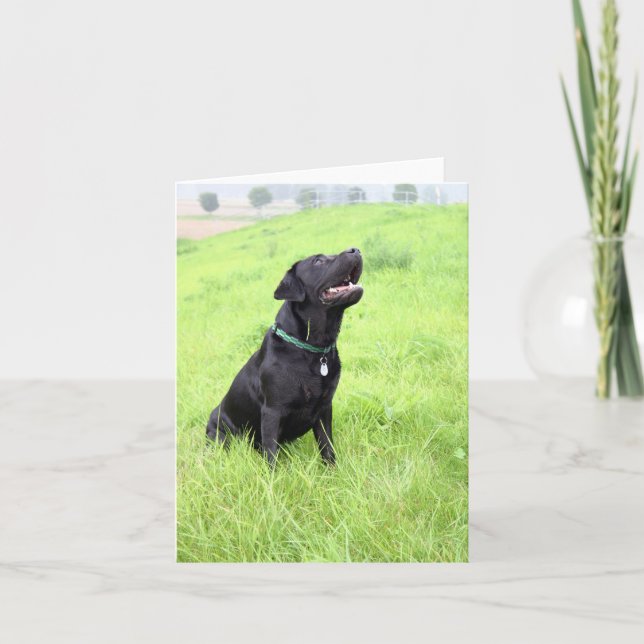 LR svart sittande Kort (Framsida)