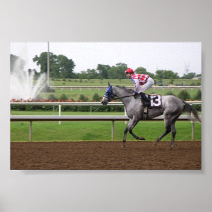 LSP-serien (2) Poster