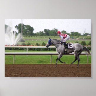 LSP-serien (2) Poster