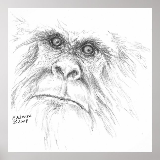 LTB-Poster Poster (Framsidan)