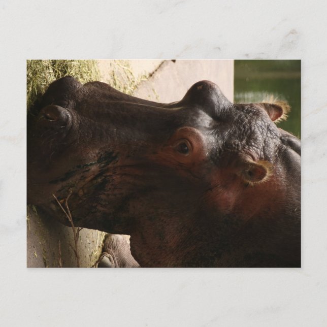 Lu Vykort (Framsida)