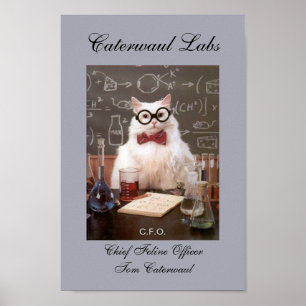 Lubb Cat CFO eller Chief Kattdjur Officer Bild Poster