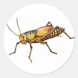 Lubber Grashopper Sticker Runt Klistermärke
