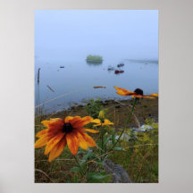 Lubec Maine Colorful Daisy
