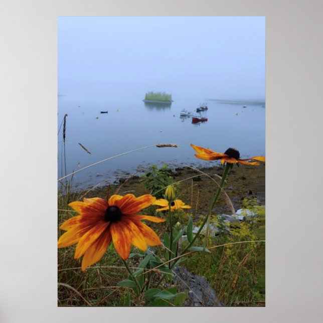 Lubec Maine Colorful Daisy Poster (Framsidan)