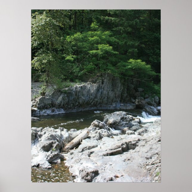 Lucia Falls porträtt Poster (Framsidan)