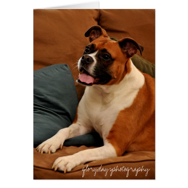 Lucie Monroe Hälsningskort (Framsidan)