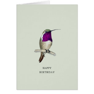 Lucifer Hummingbird Grattis på födelsedagen Card Hälsningskort