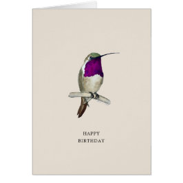 Lucifer Hummingbird Grattis på födelsedagen Card Hälsningskort