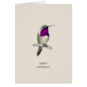 Lucifer Hummingbird Grattis på födelsedagen Card Hälsningskort