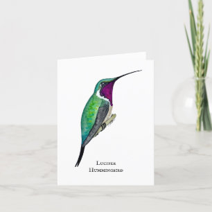 Lucifer Hummingbird Tack Kort