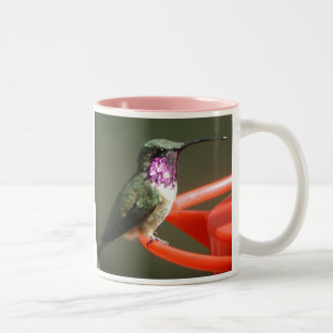 Lucifer Hummingbirdmugg som höger-behandlas Två-Tonad Mugg