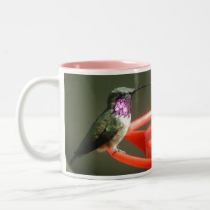Lucifer Hummingbirdmugg som lämna-behandlas Två-Tonad Mugg