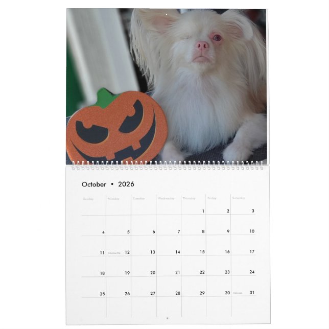 Lucky 2020-kalender kalender (Oct 2026)