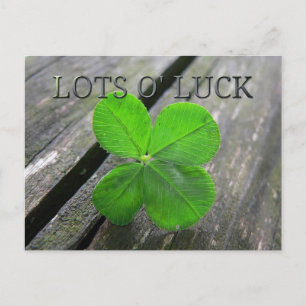 Lucky 4 löv klöver vykort