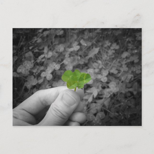 Lucky 6 (version av selektiv färgad) vykort (Framsida)