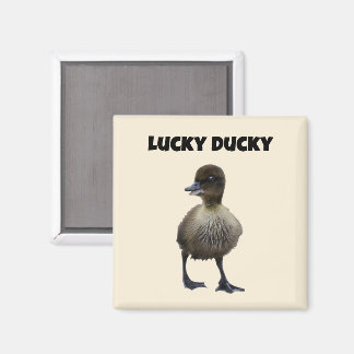 Lucky Anka Funny Cute Duckling Bird Photo Art Magnet