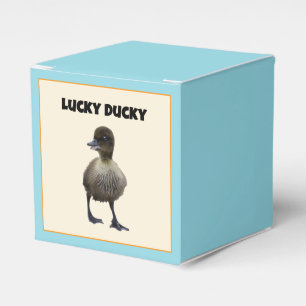 Lucky Anka Funny Cute Duckling Bird Photo Art Presentaskar