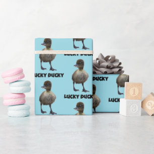 Lucky Anka Funny Cute Duckling Bird Photo Art Presentpapper