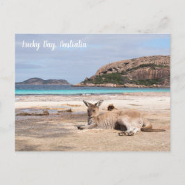Lucky Bay Beach Kangaroo, Australiens vykort