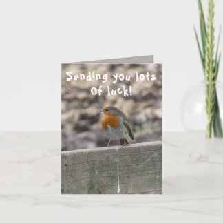 Lucky Bird Poo Lycka till Card Kort