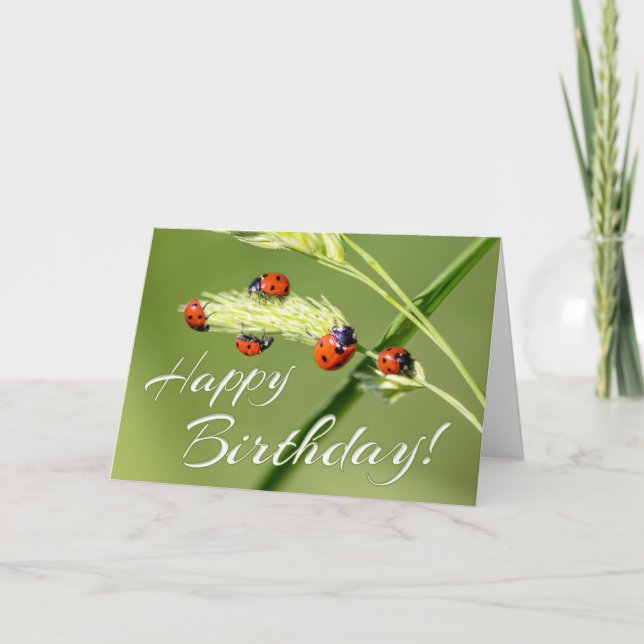 Lucky Birthday med 5 små ladybuggar! Kort (Framsida)