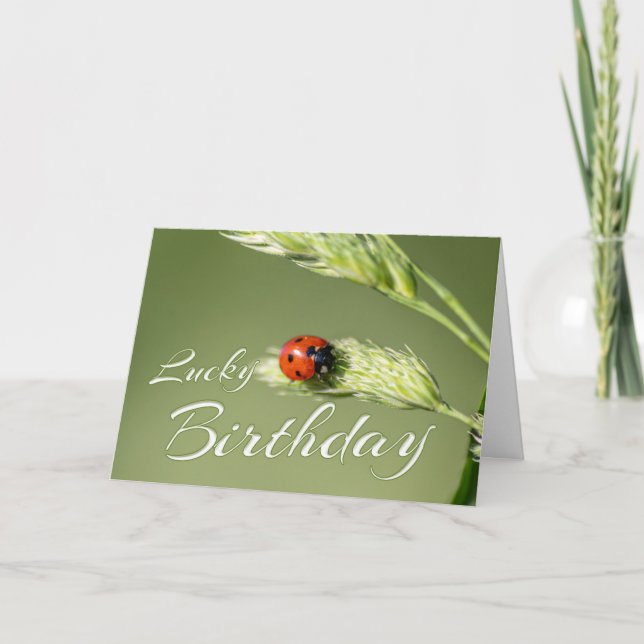 Lucky Birthday med lite ladybug! Kort (Framsida)
