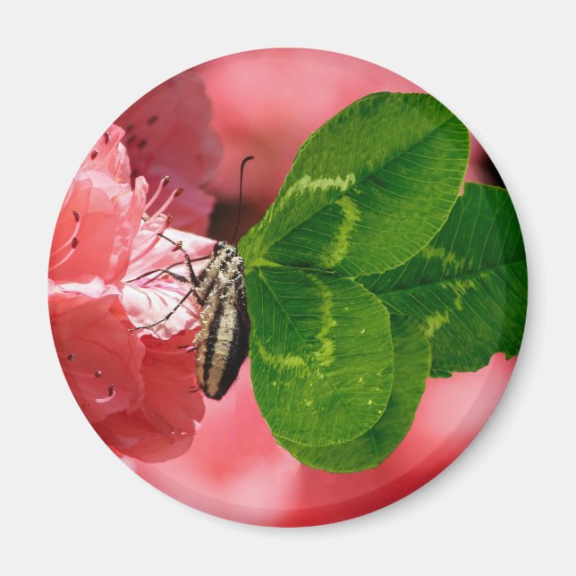 Lucky Butterfly Magnet (Framsidan)