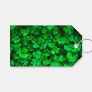 Lucky Celtic Irish Grönt Shamrocks Presentetikett