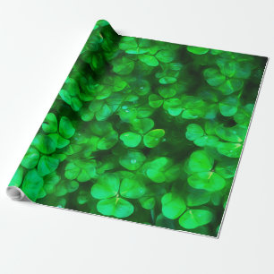 Lucky Celtic Irish Grönt Shamrocks Presentpapper