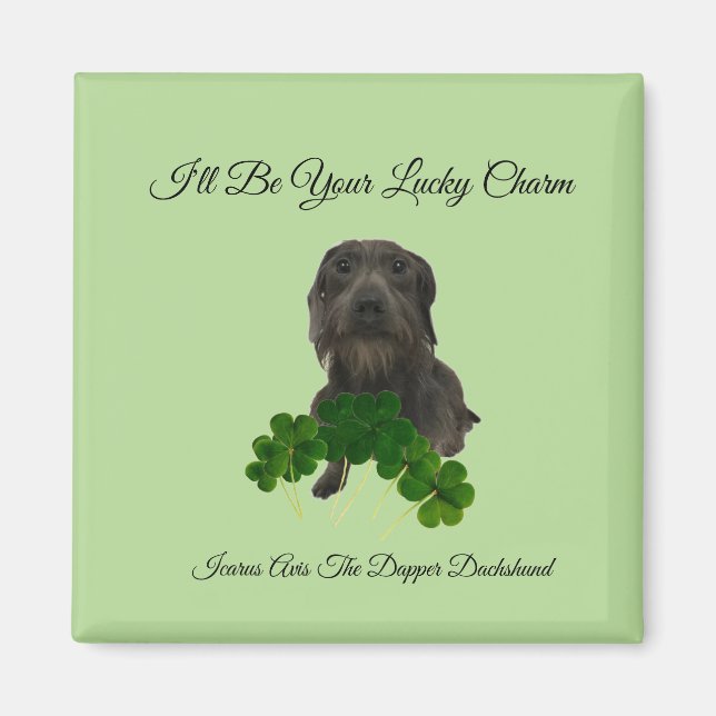 Lucky Charm Magnet (Framsidan)