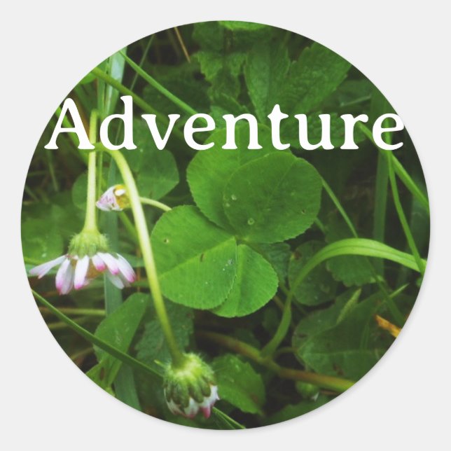 Lucky Charm Sticker  Runt Klistermärke (Framsida)