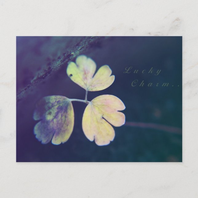 Lucky Charm-vykort Vykort (Framsida)