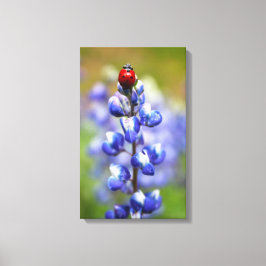 Lucky Dam Canvastryck