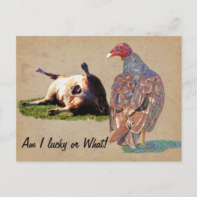 LUCKY DAY VYKORT (Framsida)