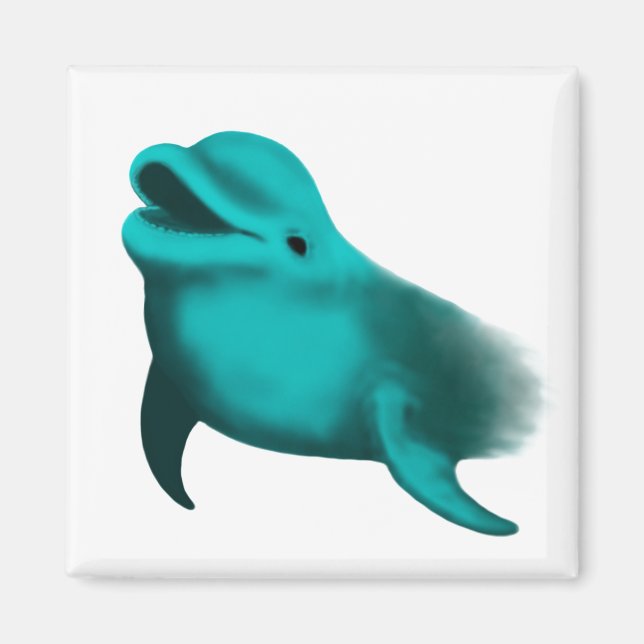 Lucky Dolphin Magnet (Framsidan)