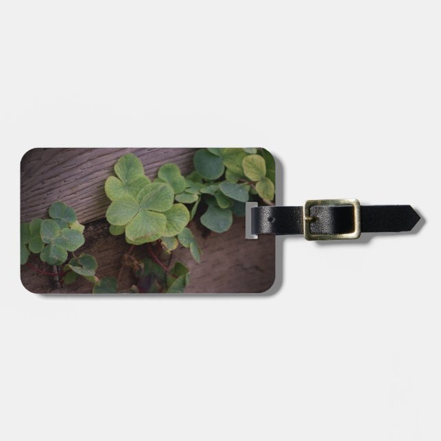 Lucky eller Determined? Saint Patricks Day Shamroc Bagagebricka (Horisontell Framsida)