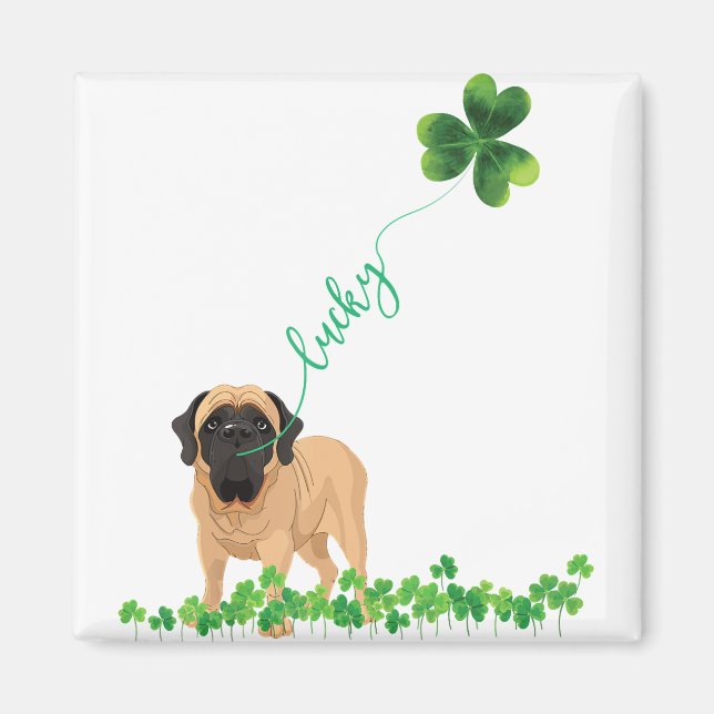 Lucky English Morsa Hund Shamrock St Patrick Day Magnet (Framsidan)