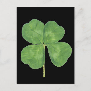 Lucky Four-Löv Klöver Shamrock Vykort