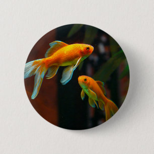 Lucky Goldfish Knapp