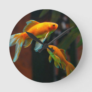 Lucky Goldfish Rund Klocka