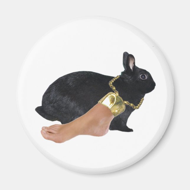 Lucky Human's Foot Magnet (Framsidan)