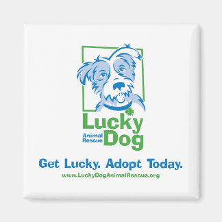 Lucky Hund "Adopt Today" Magnet