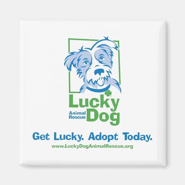 Lucky Hund "Adopt Today" Magnet (Framsidan)